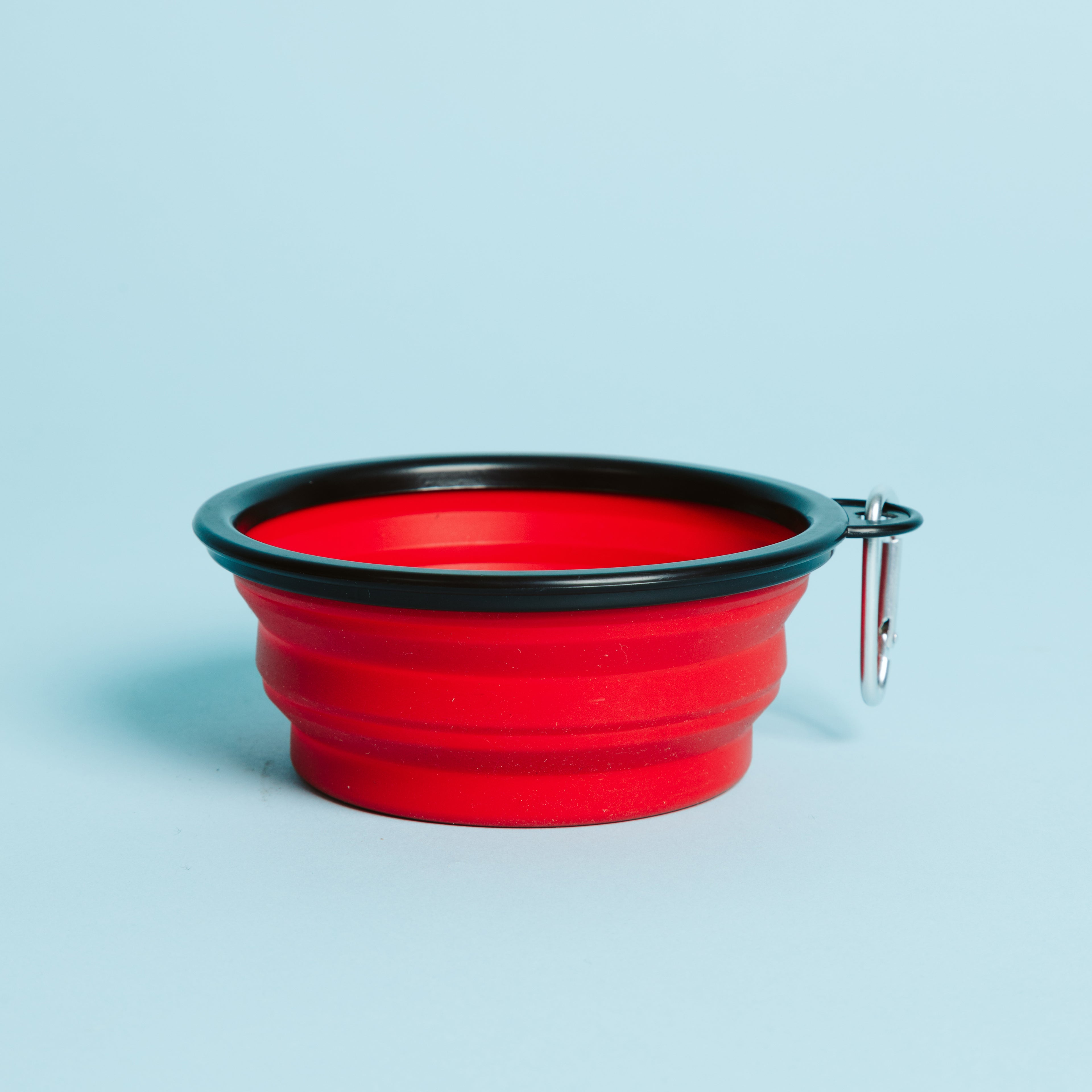 Red Dog Bowl