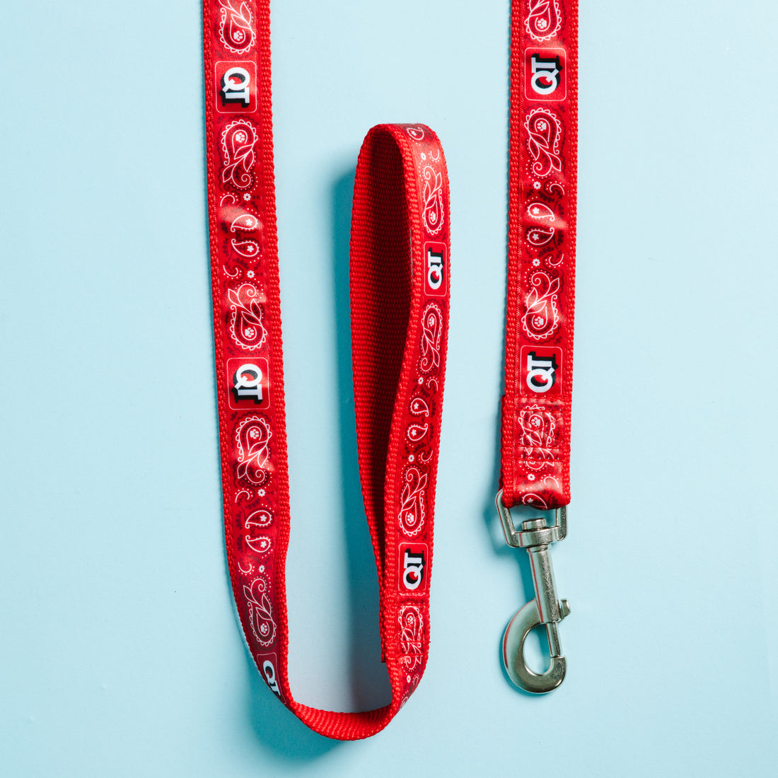 QT Dog Leash