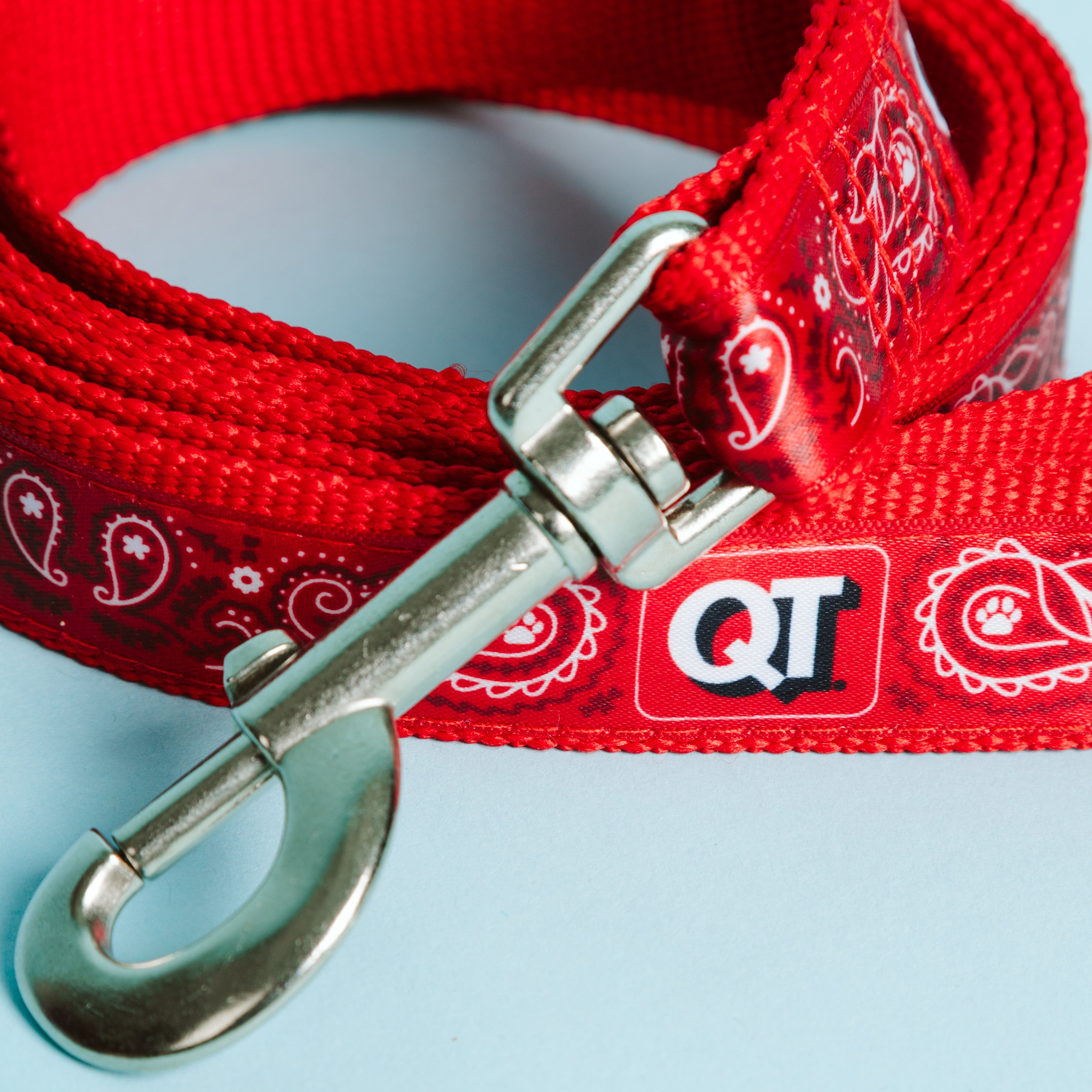QT Dog Leash